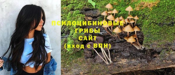 амф Инта
