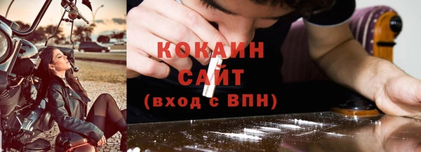 индика Инсар