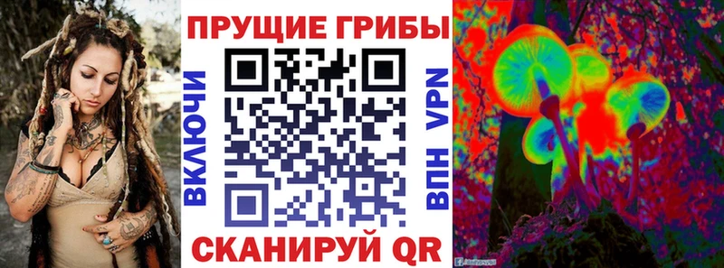 где продают   Пикалёво  Псилоцибиновые грибы мухоморы 
